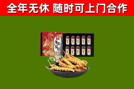 鹰潭市烟酒回收冬虫夏草礼盒.jpg