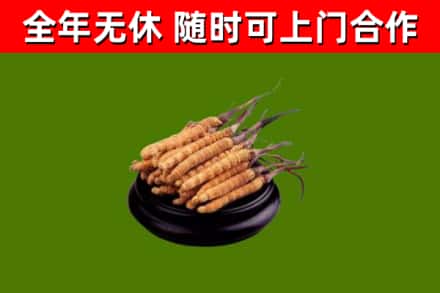 鹰潭市烟酒回收冬虫夏草.jpg